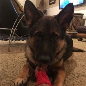 Meet your Posher, Padraig